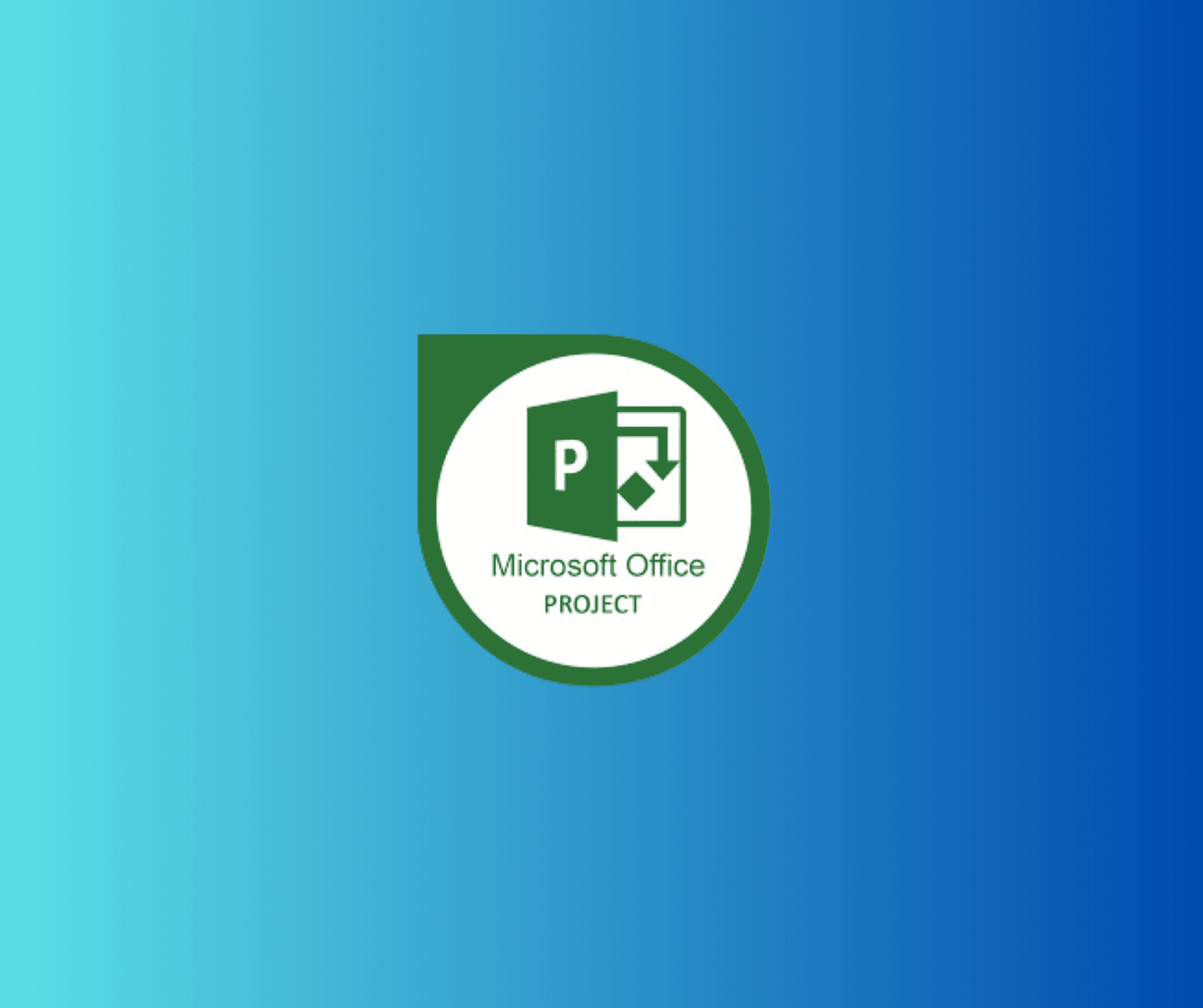 Microsoft Project Pro: Project Management Mastery