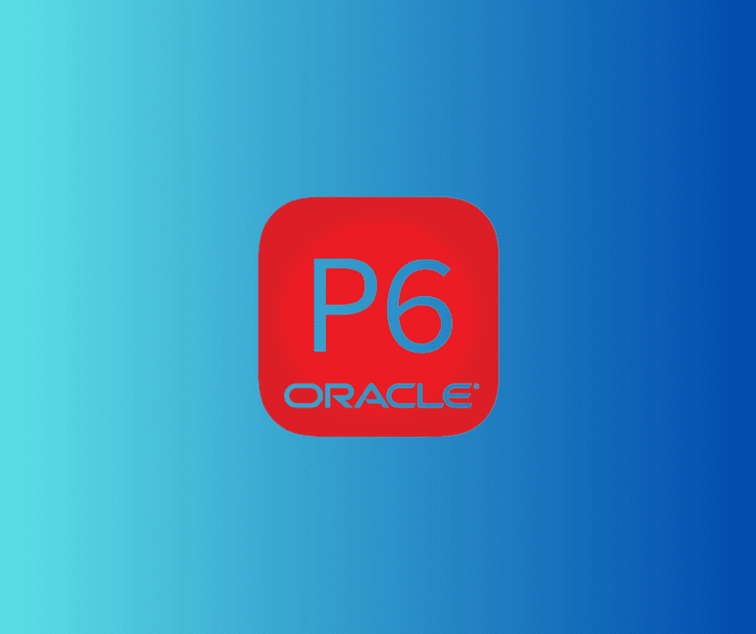 Primavera P6 Training