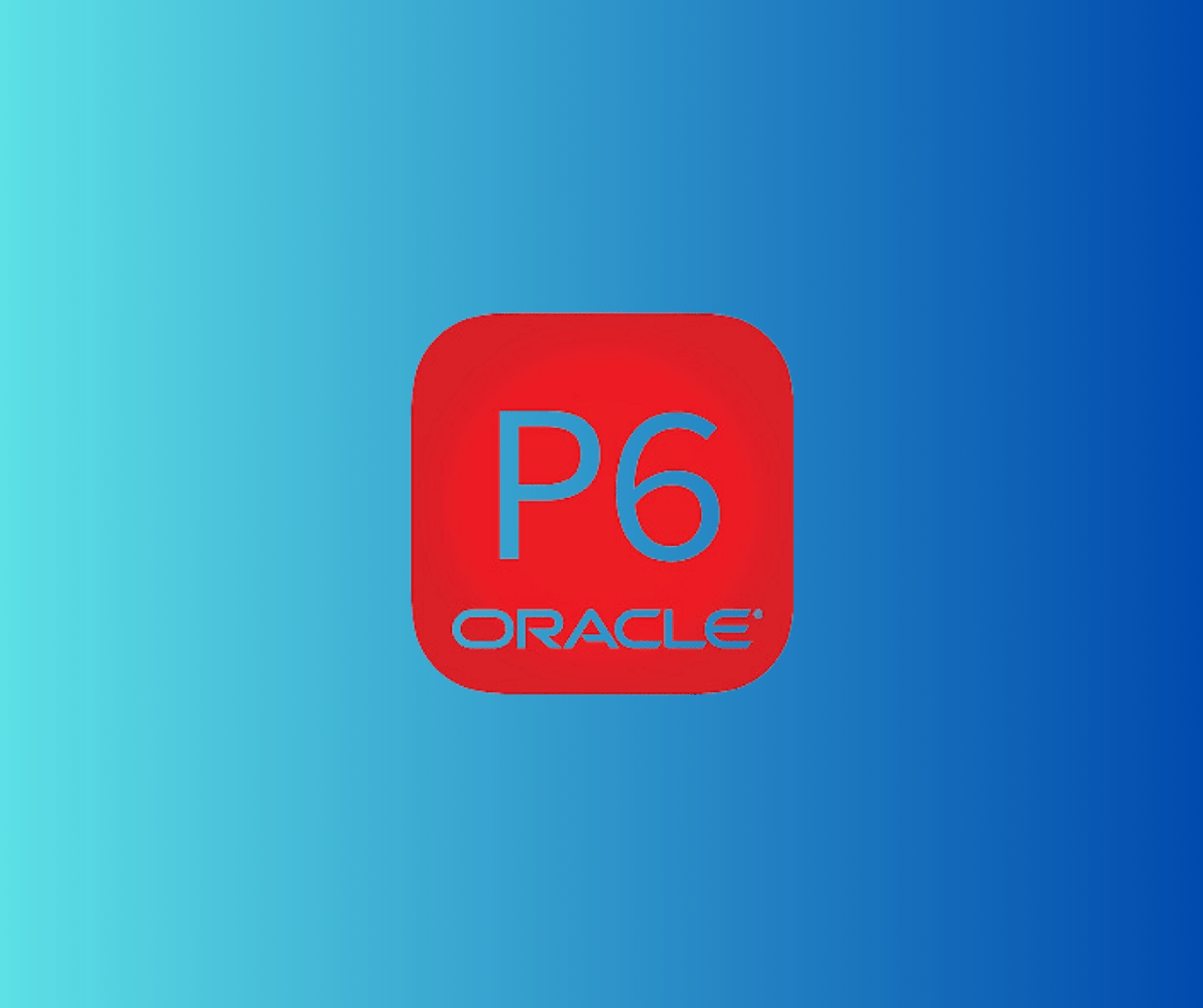 Primavera P6 Professional: Project Planning & Scheduling Mastery